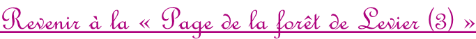 Revenir à la «&nbsp;Page de la forêt de Levier (3) »