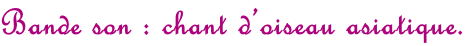 Bande son : chant d’oiseau asiatique.