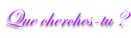 Que cherches-tu ?