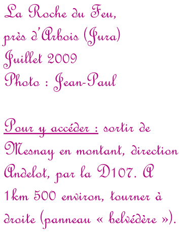 La Roche du Feu,  près d’Arbois (Jura)  Juillet 2009 Photo : Jean-Paul  Pour y accéder : sortir de Mesnay en montant, direction Andelot, par la D107. A 1km 500 environ, tourner à droite (panneau «&nbsp;belvédère&nbsp;»).