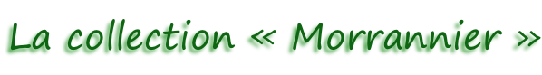 La collection «&nbsp;Morrannier&nbsp;»