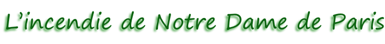 L’incendie de Notre Dame de Paris